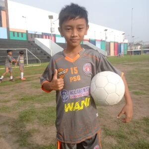 Arfa