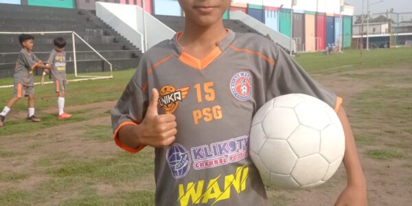 Arfa